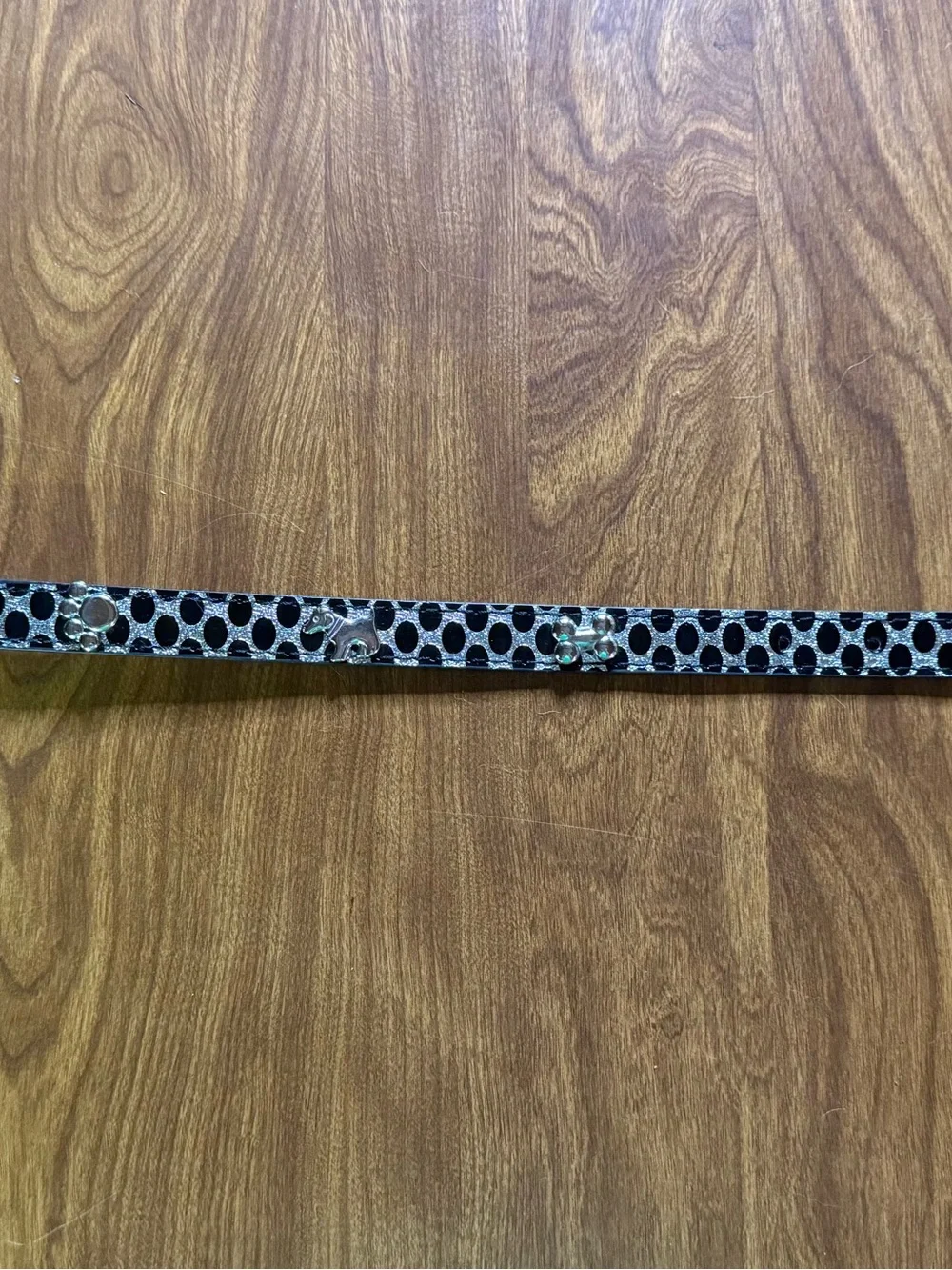 Glitter Dog Collar - Size Medium